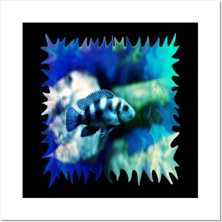 Lonely Fish in a Blue Green Pond Posters and Art